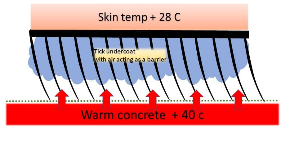 radiation från mark