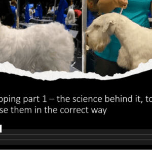 Handstripping for pet owners-learn the correct technique