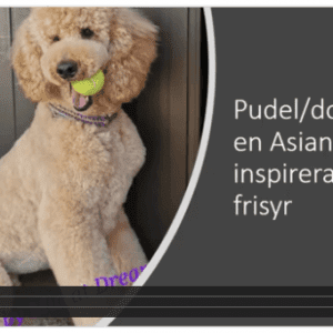 2 olika pudel frisyrer