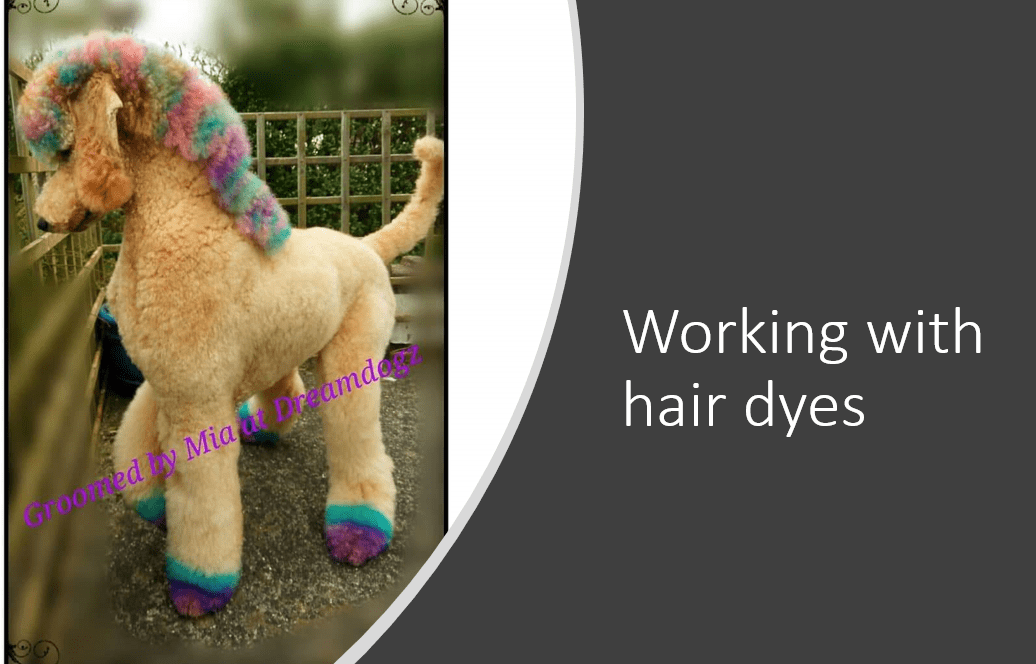 An introduction to Creative grooming touches for salon use