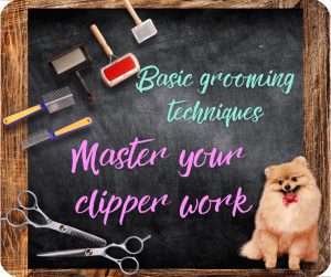 🇬🇧 Master your clipper work
