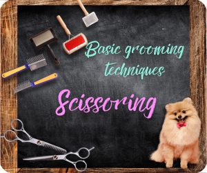 🇬🇧 Scissoring