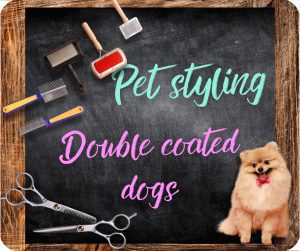 🇬🇧 Double coated dogs