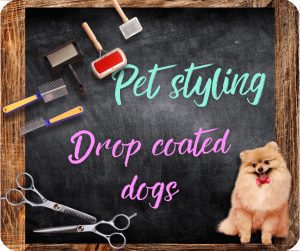 ๐ฌ๐ง Drop coated dogs
