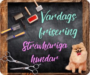 🇸🇪 Strävhåriga raser