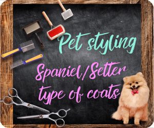 ๐ฌ๐ง Spaniels&Setters type of dogs